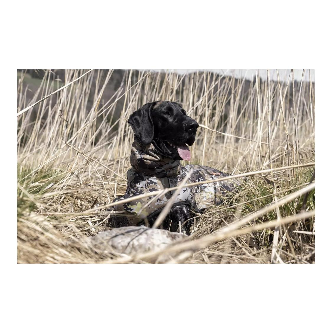 Blaser Set pour chien HunTec Camo