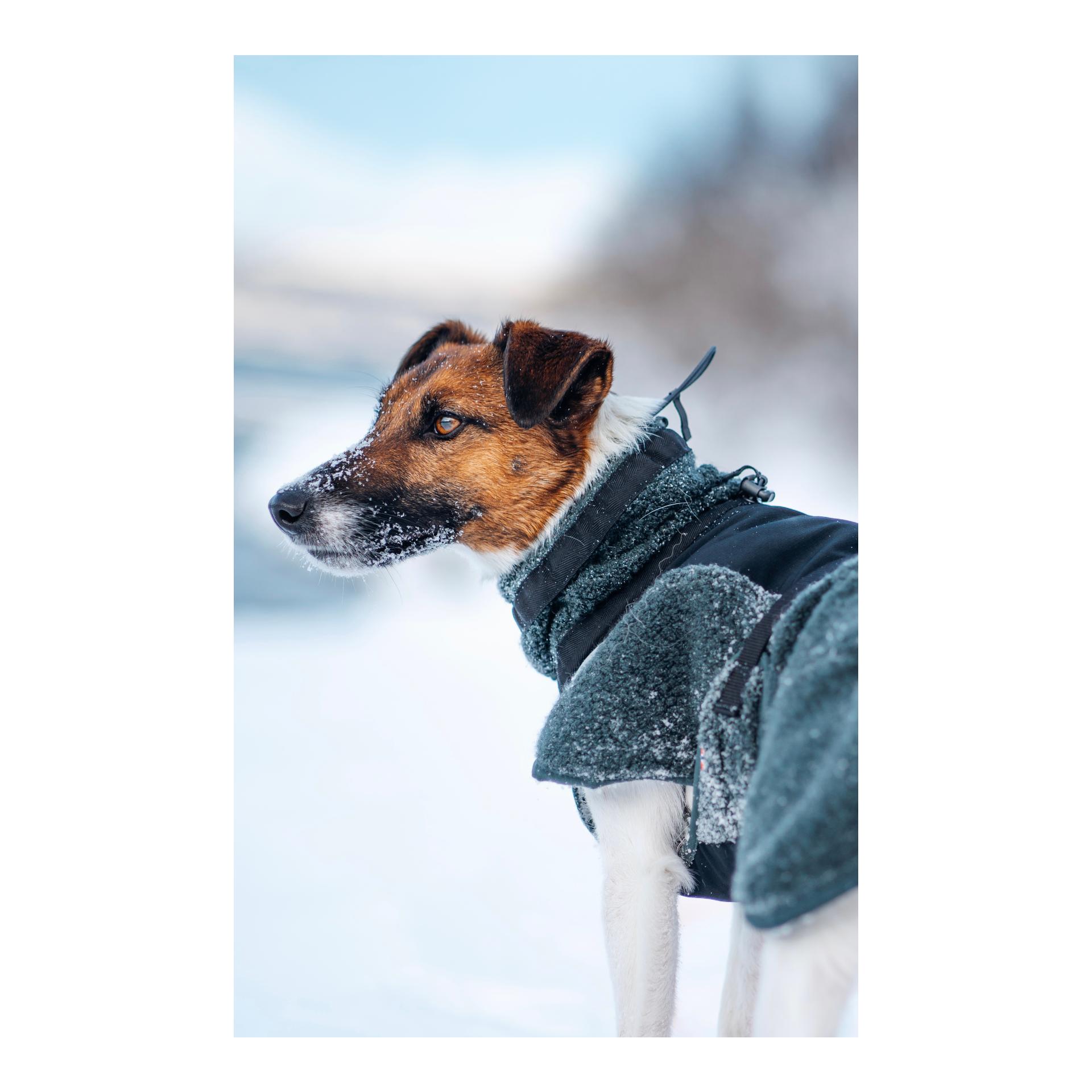 Non-stop Dogwear Manteau pour chien Wool Dog Jacket