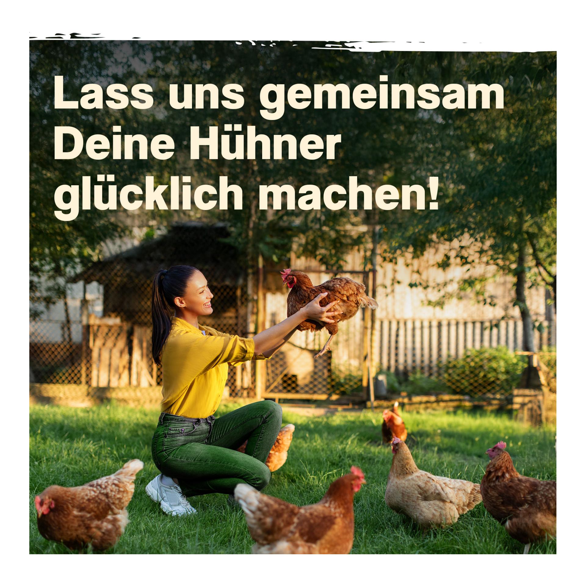 IdaPlus GoldenEgg - für feste Eierschalen