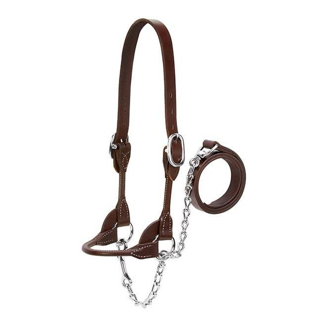 Weaver Livestock Showhalfter Milch-/Rindvieh