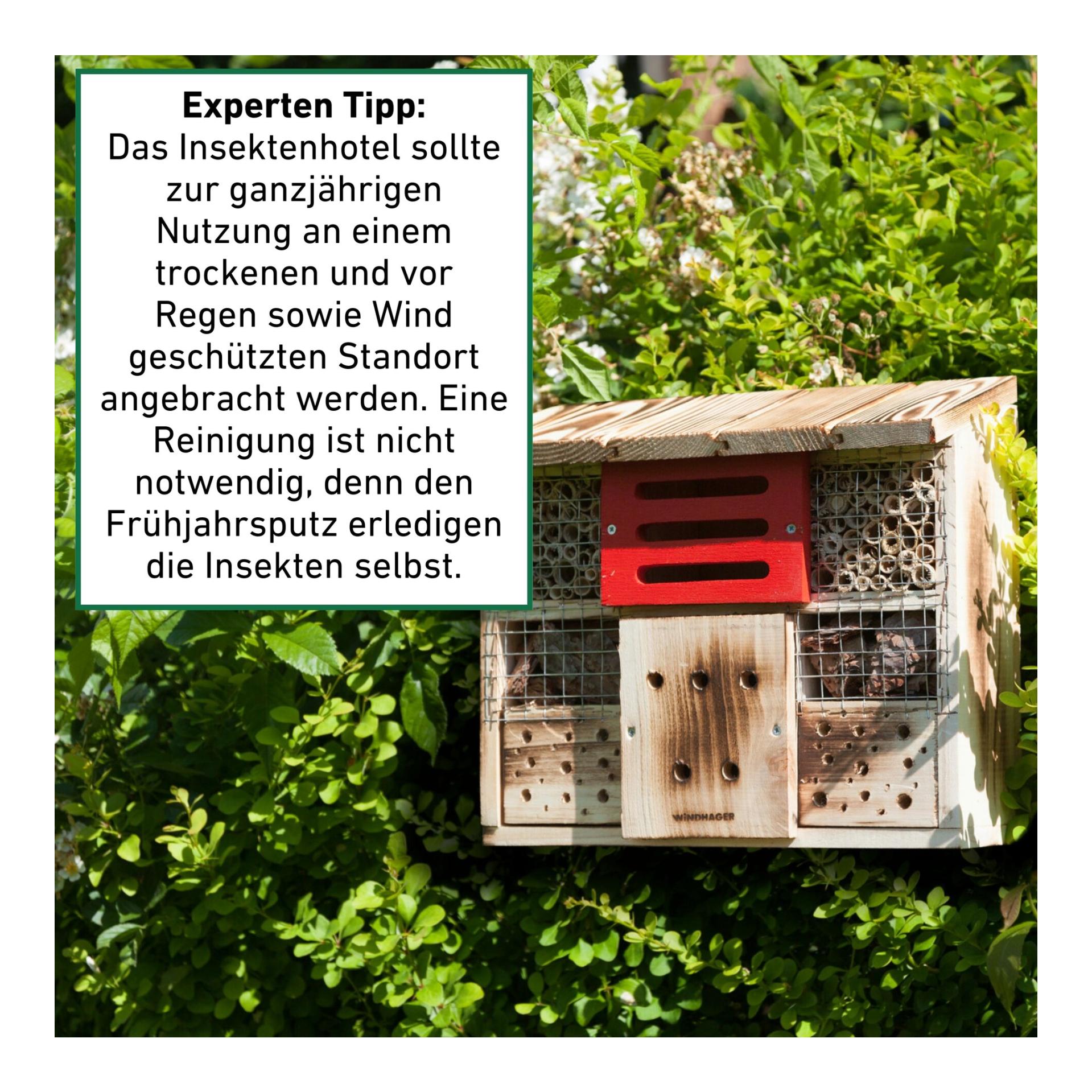 Windhager Insektenhotel "Zur Linde"