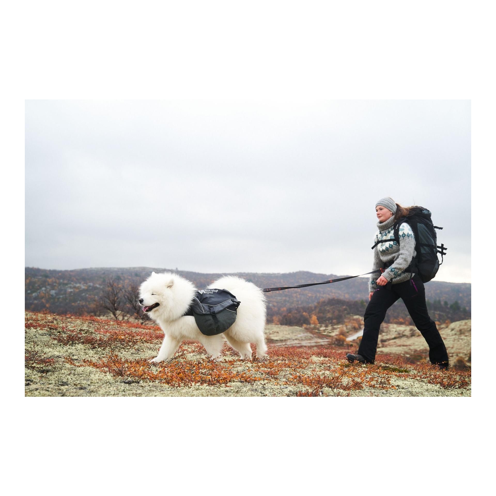 Non-stop Dogwear Hundeleine Touring Bungee Leash Adjustable
