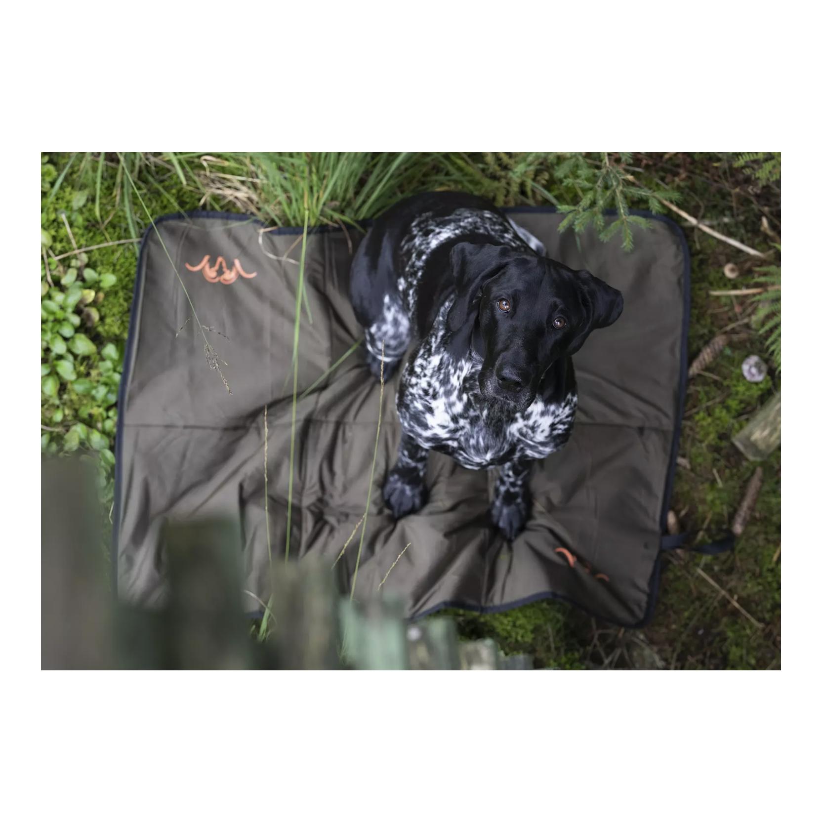 Blaser Hundedecke Oliv