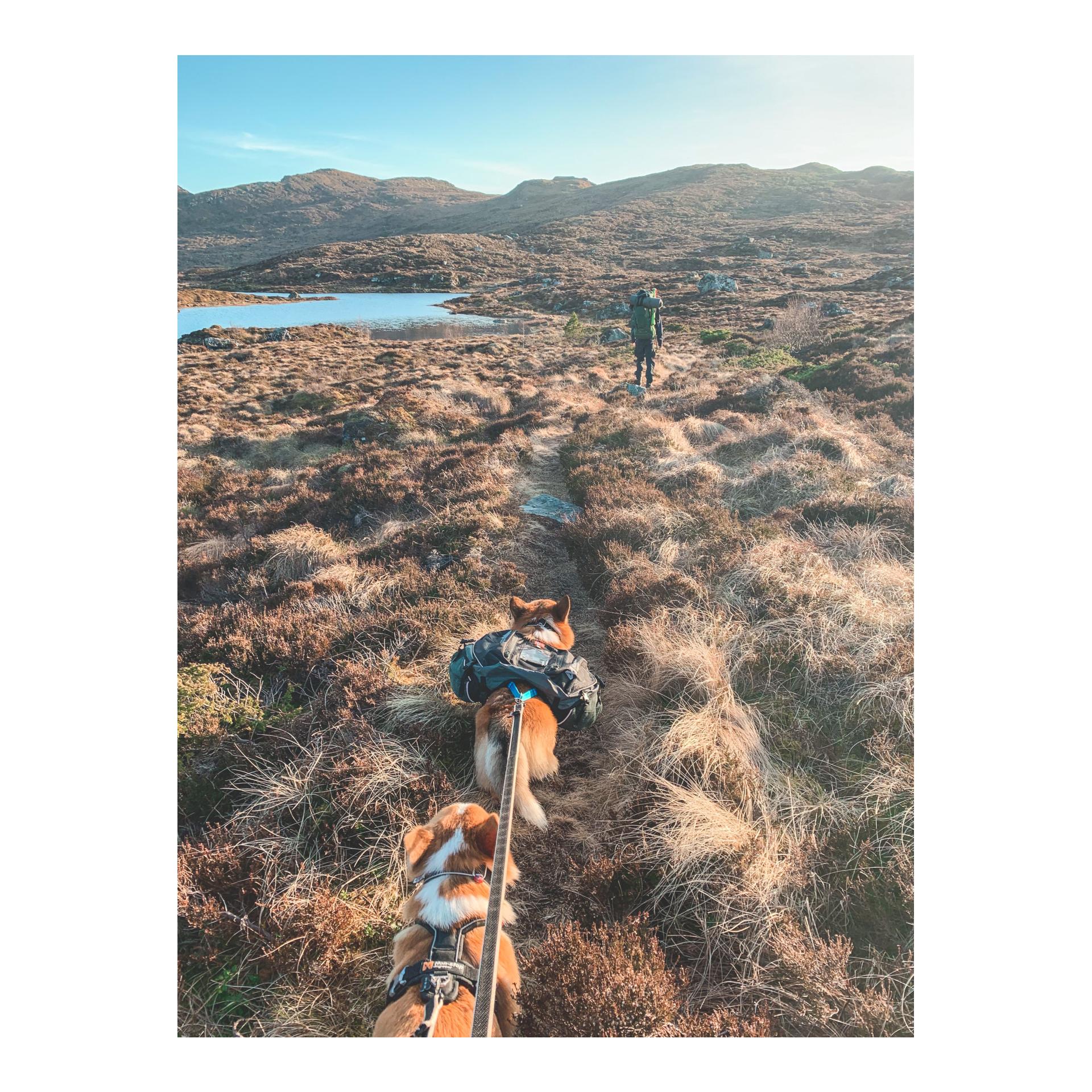 Non-stop Dogwear Amundsen Pack