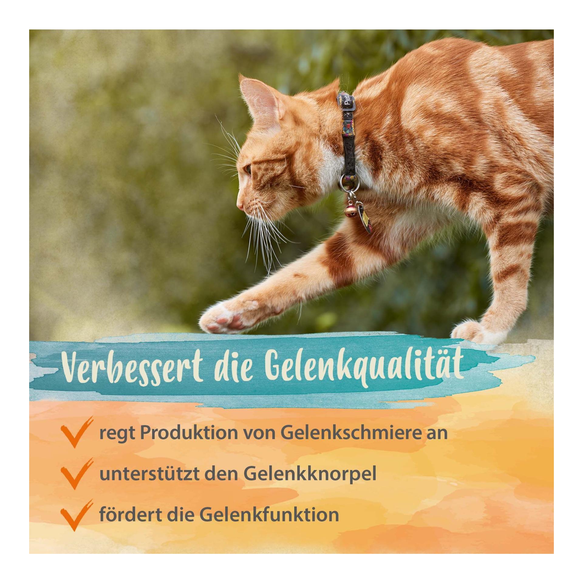 IdaPlus Grünlippmuschelpulver - Nahrungsergänzung