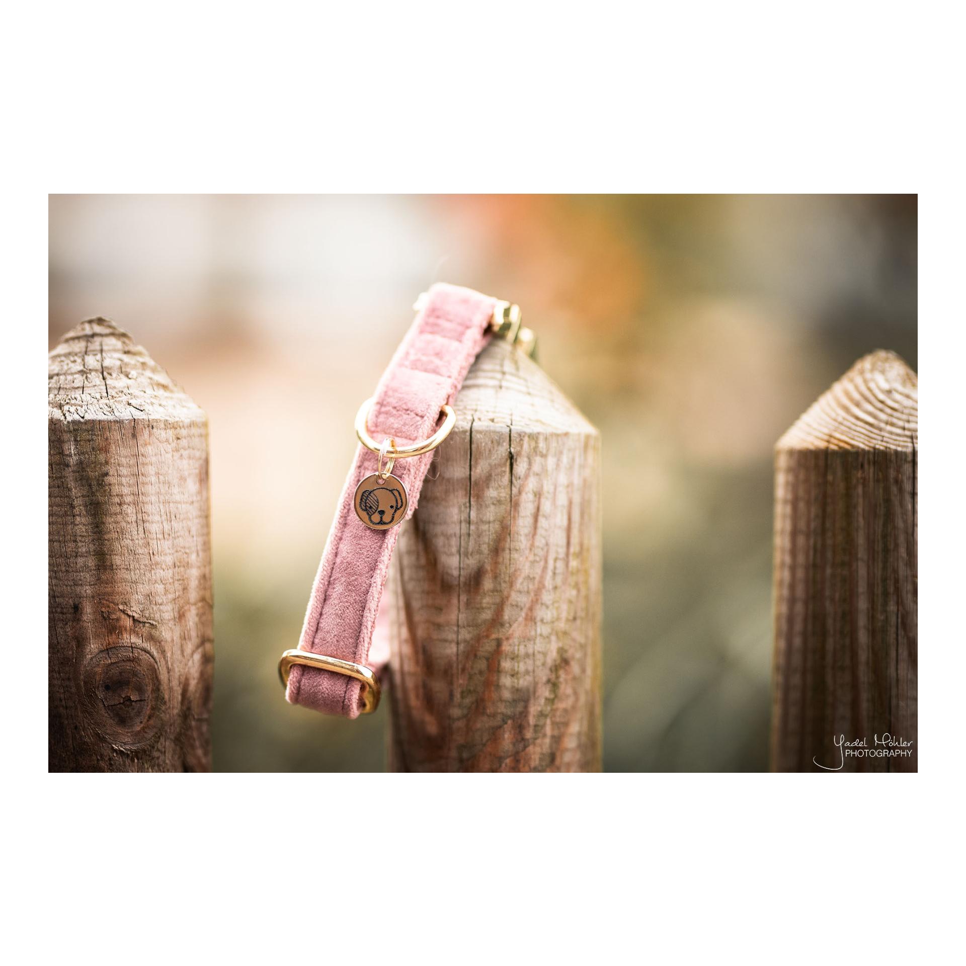Kentucky Dogwear Collier pour chien velours - vieux rose