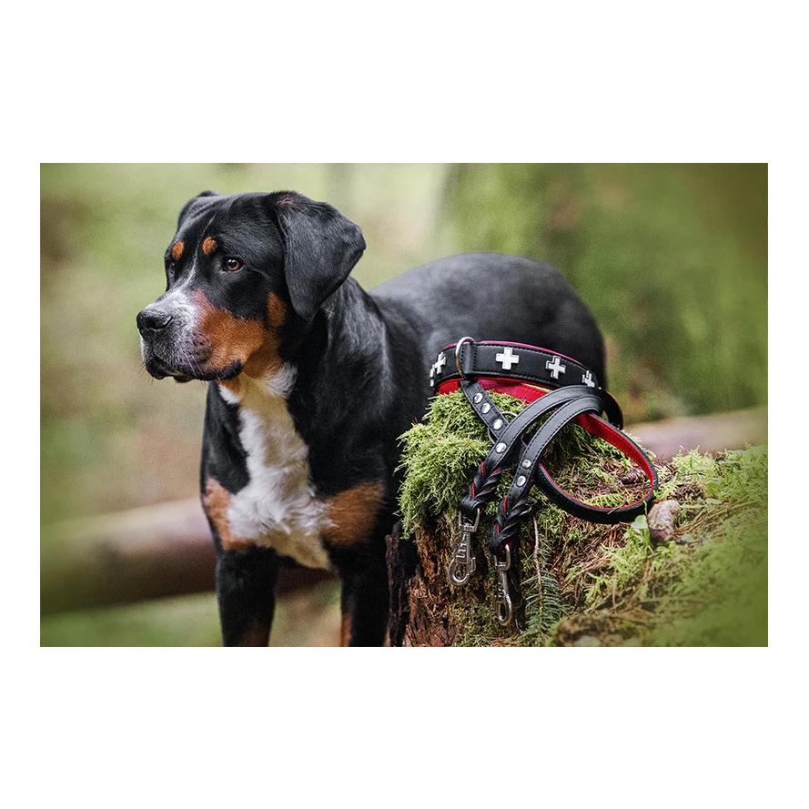 Maul Lederwaren Hundehalsband Schweizer Kreuz