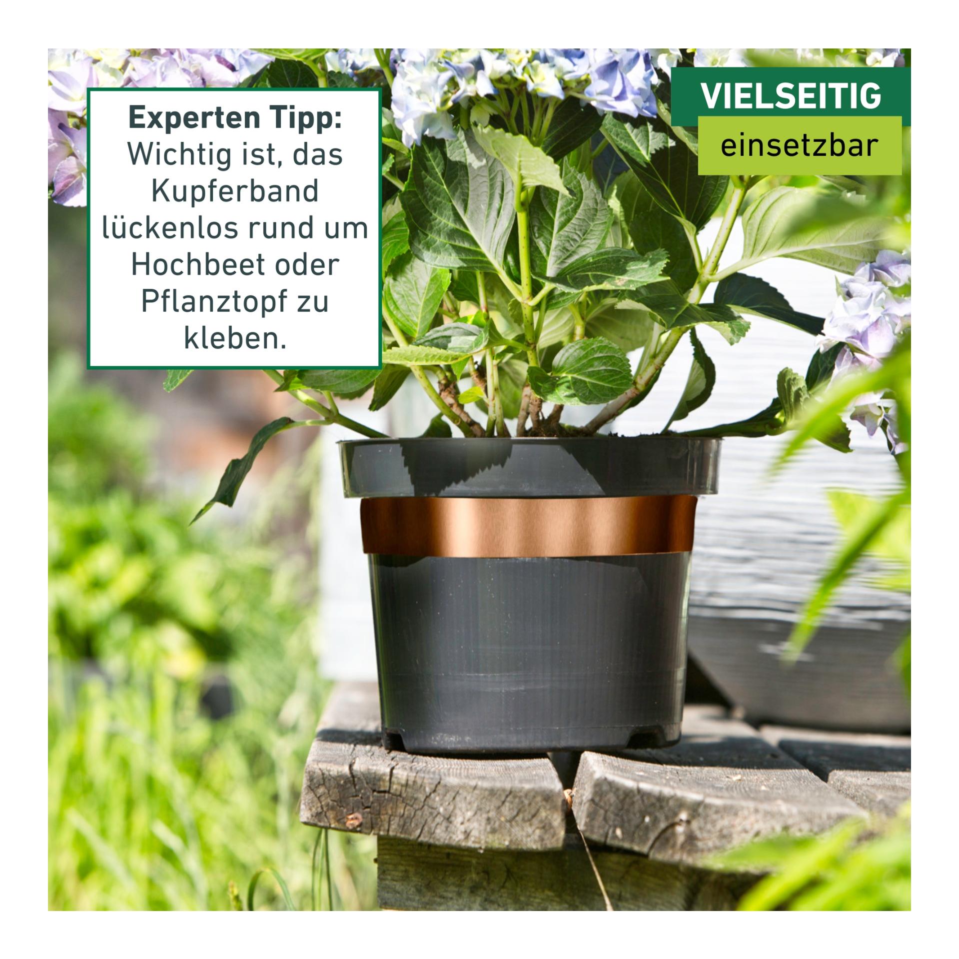 Windhager Bande anti-limaces