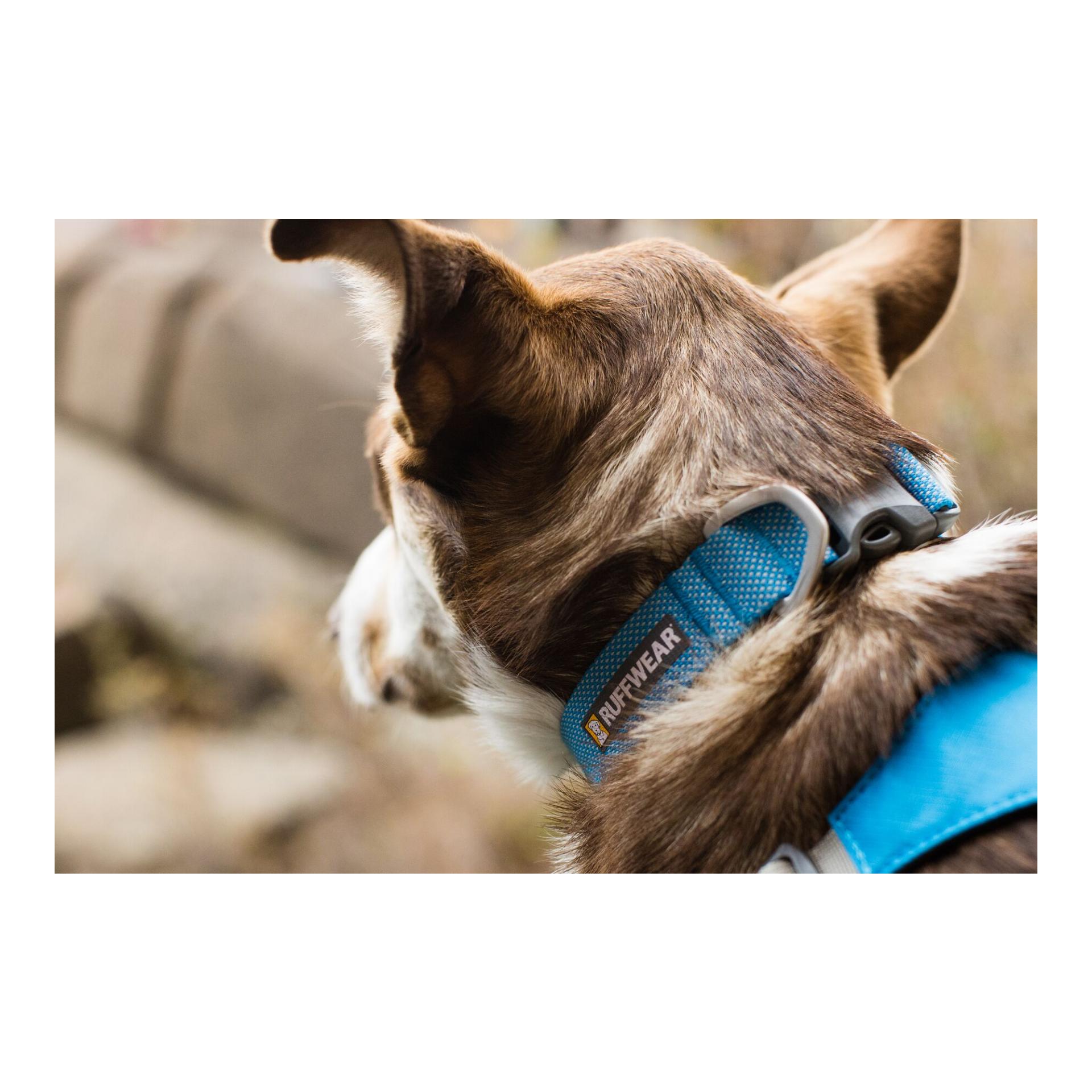Ruffwear Collier Hi &amp; Light™