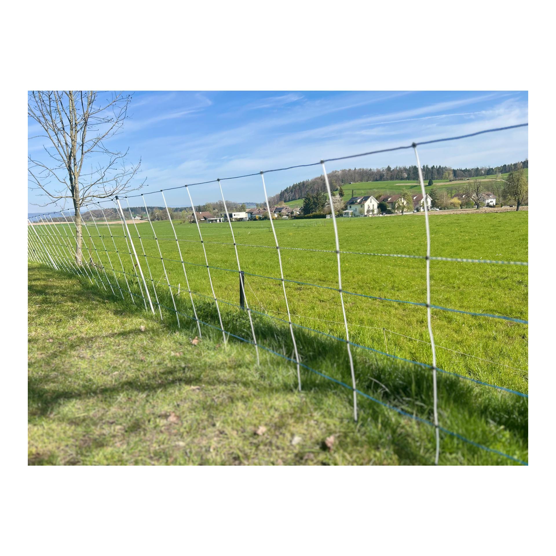 Hauptner Weidenetz Primaflex Alpin - Einzelspitz