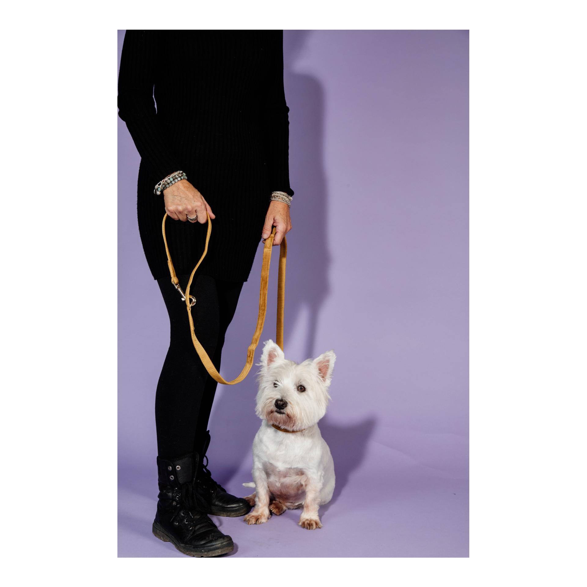 Kentucky Dogwear Hundeleine Velvet - mustard