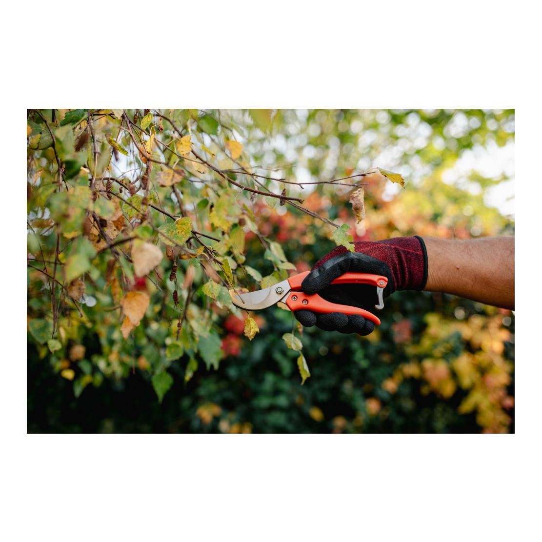 Bradas Sécateur pour arbres, vignes et jardinage SÉRIE V, lame continue, acier SK5