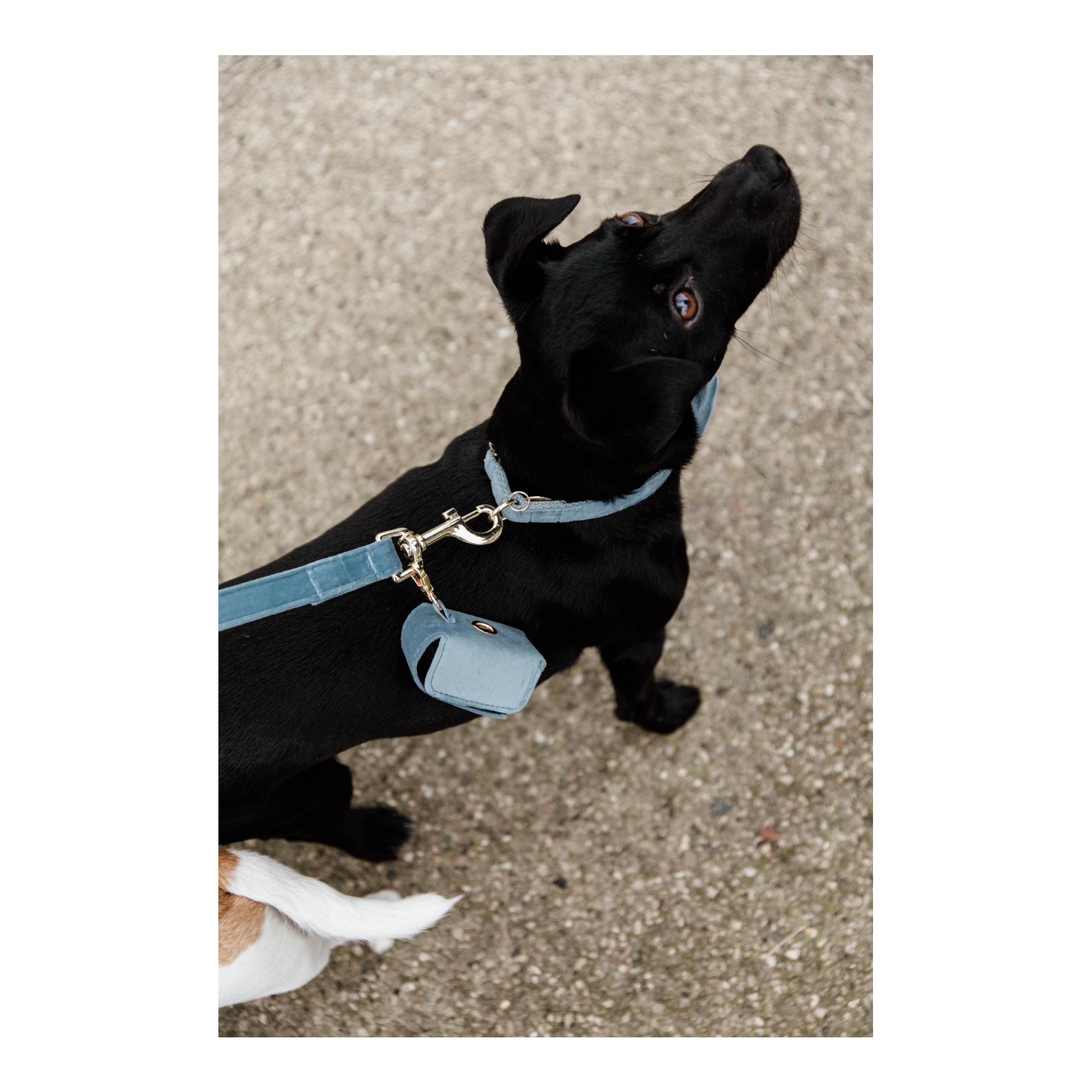Kentucky Dogwear Distributeur de sacs à crottes Velvet Square