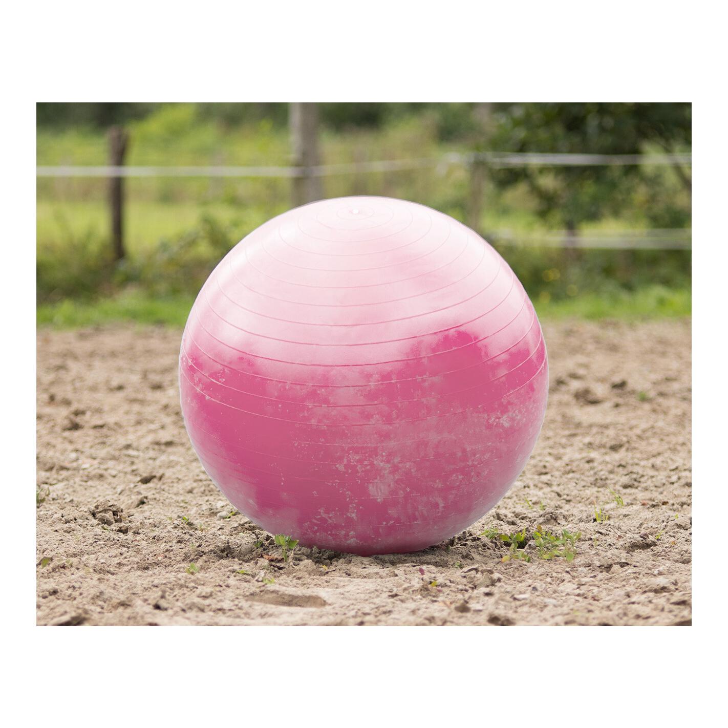 QHP Pferdeball