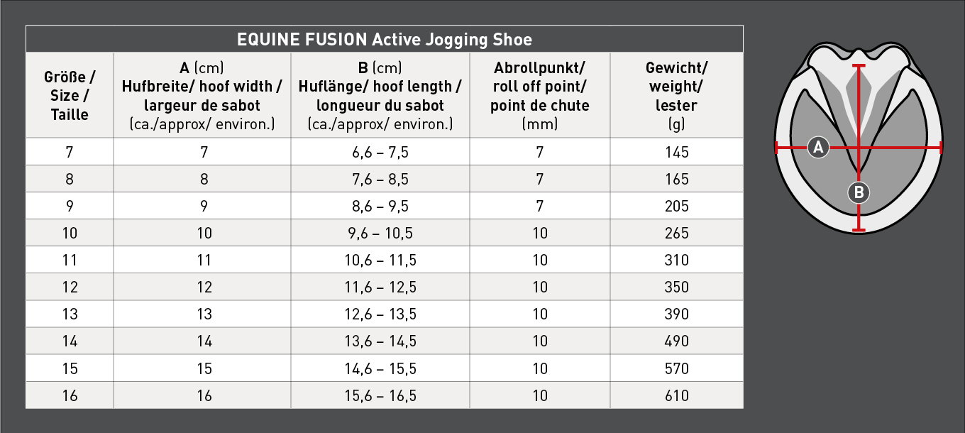 Equine Fusion Equine Fusion Active Jogging Shoe Regular