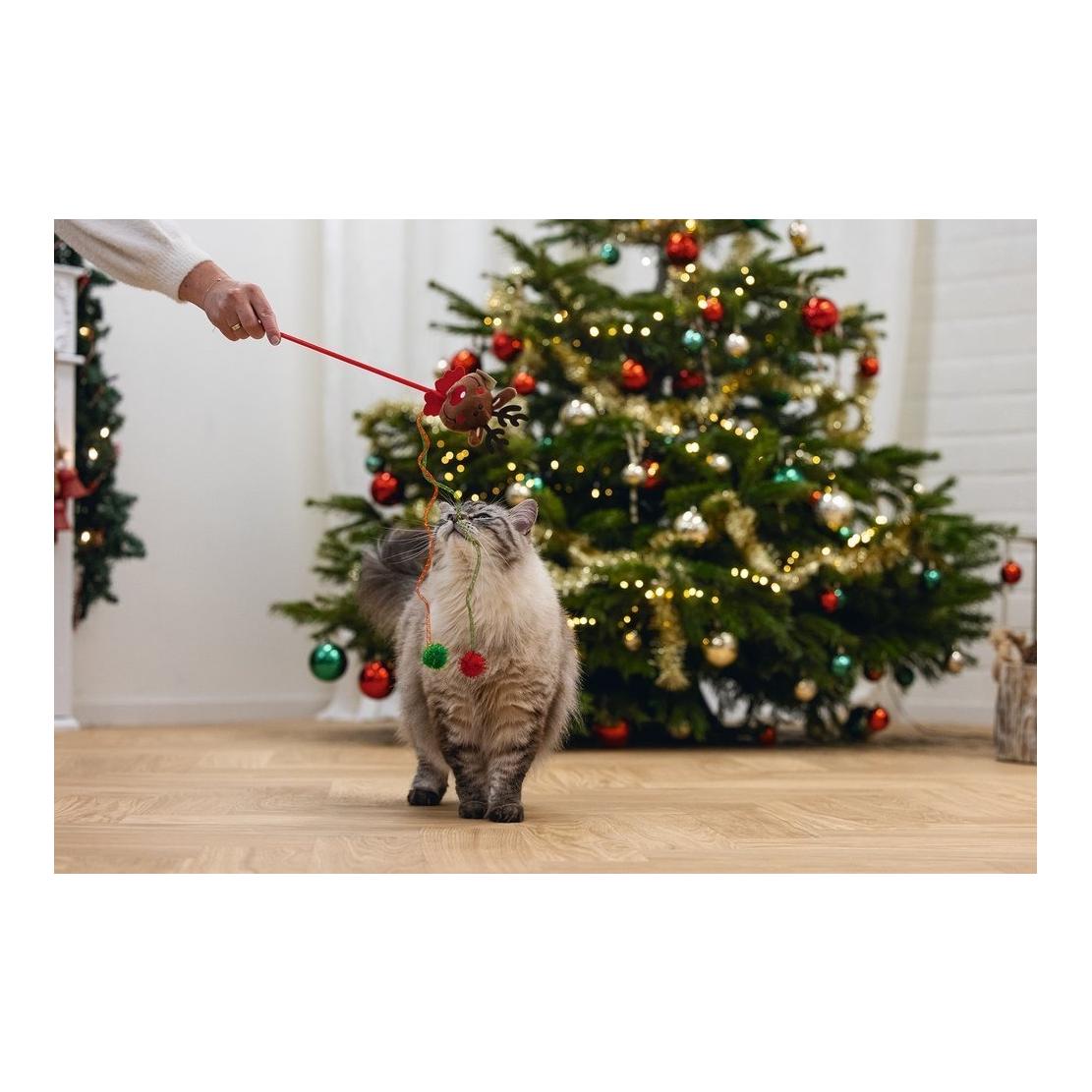 Beeztees Pêche aux chats de Noël