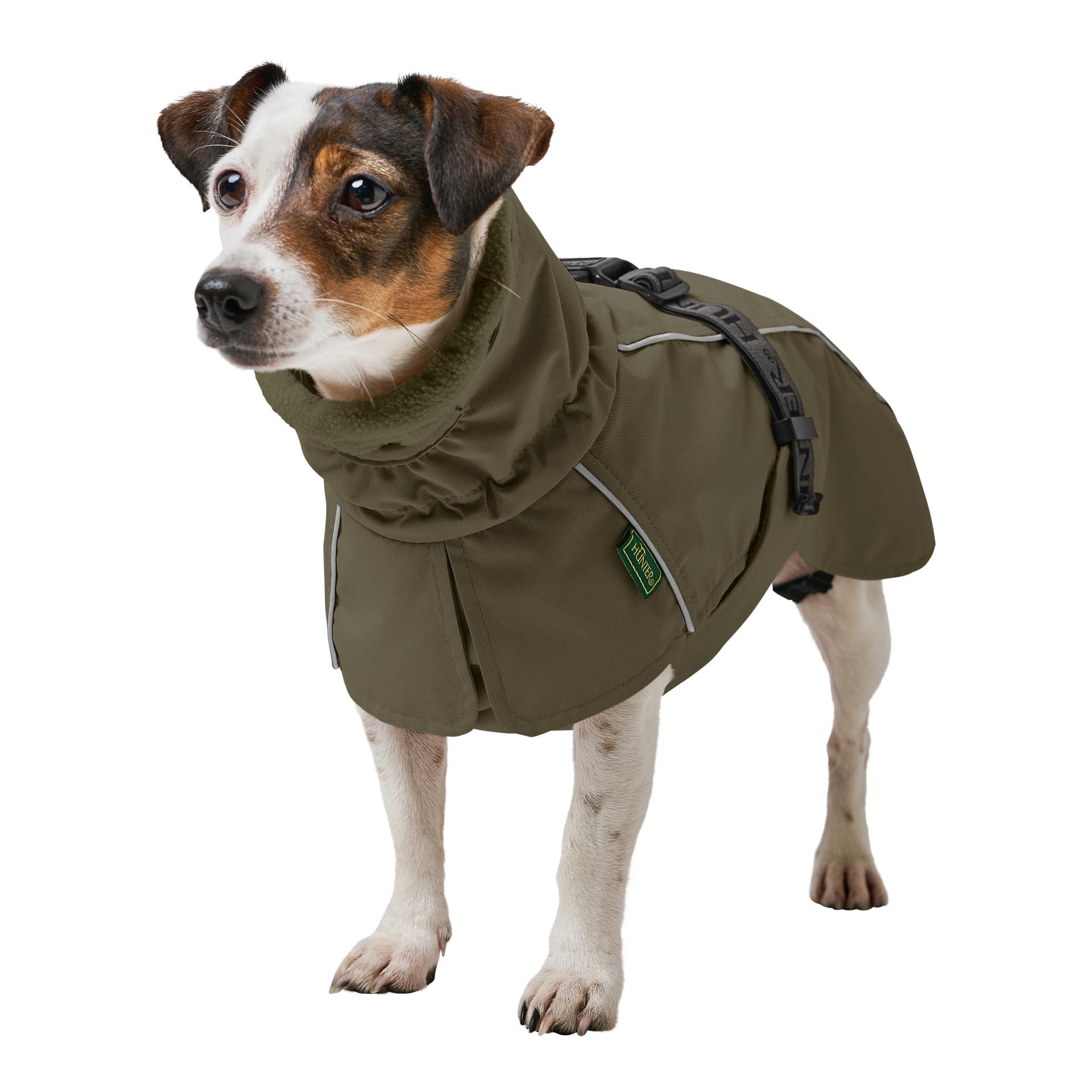 Hunter Manteau pour chien Nordby