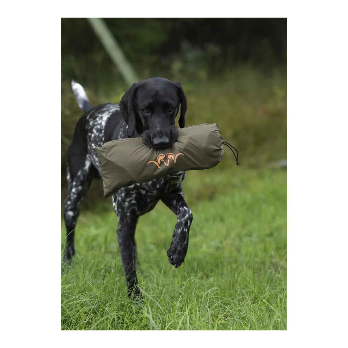 Blaser Hundedecke Oliv