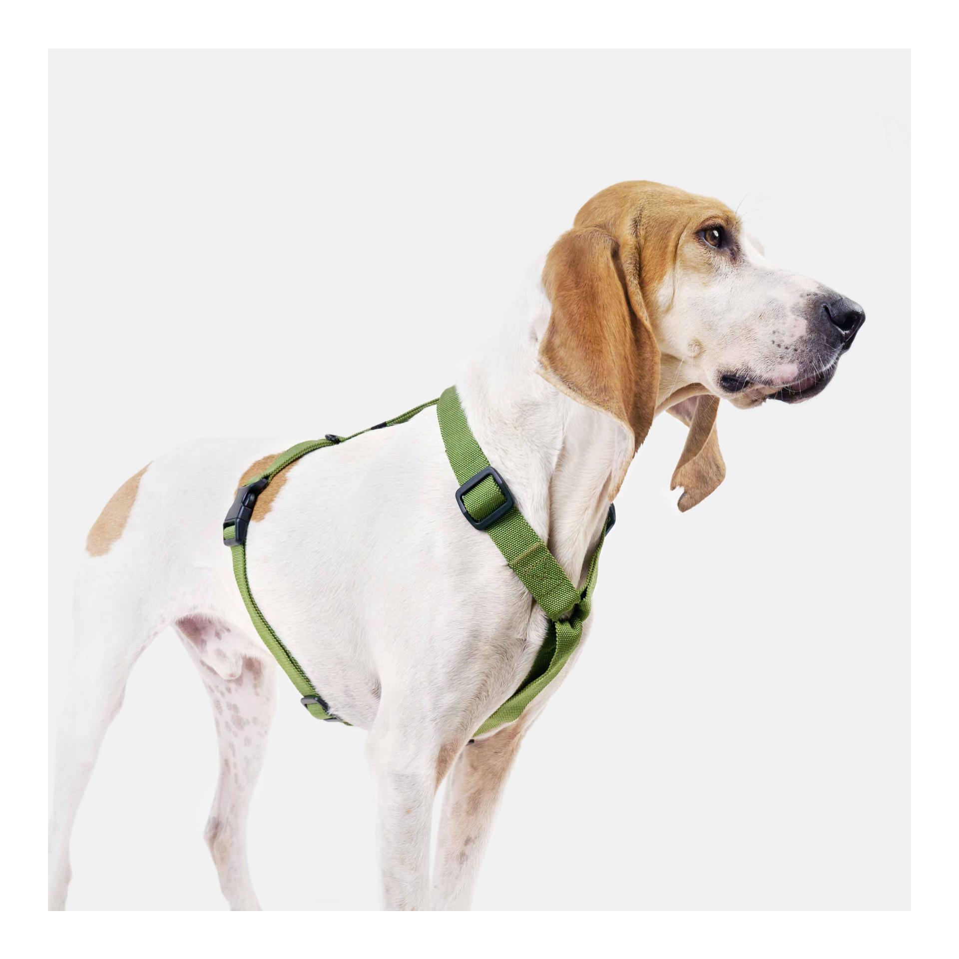 Cloud 7 Harnais pour chien RESC7UE