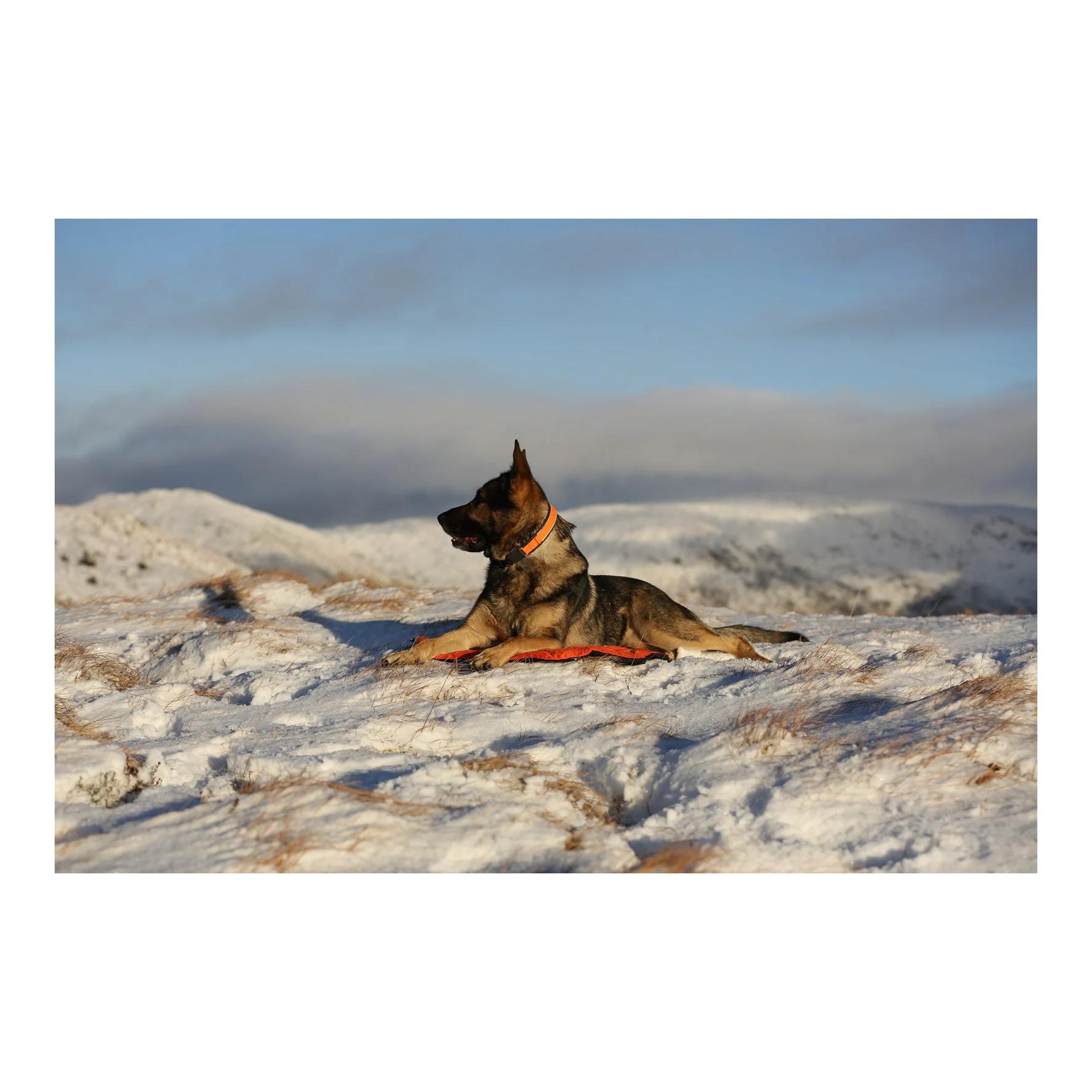 Non-stop Dogwear Lit pour chien Protector Bivvy