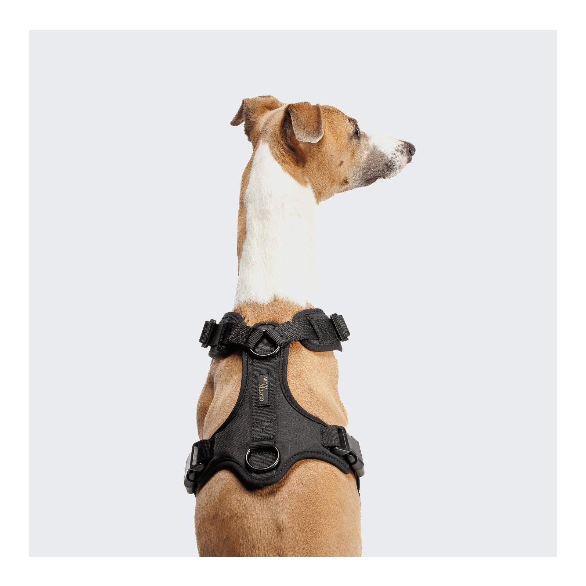 Cloud 7 Y-1-Hundegeschirr Air-Mesh