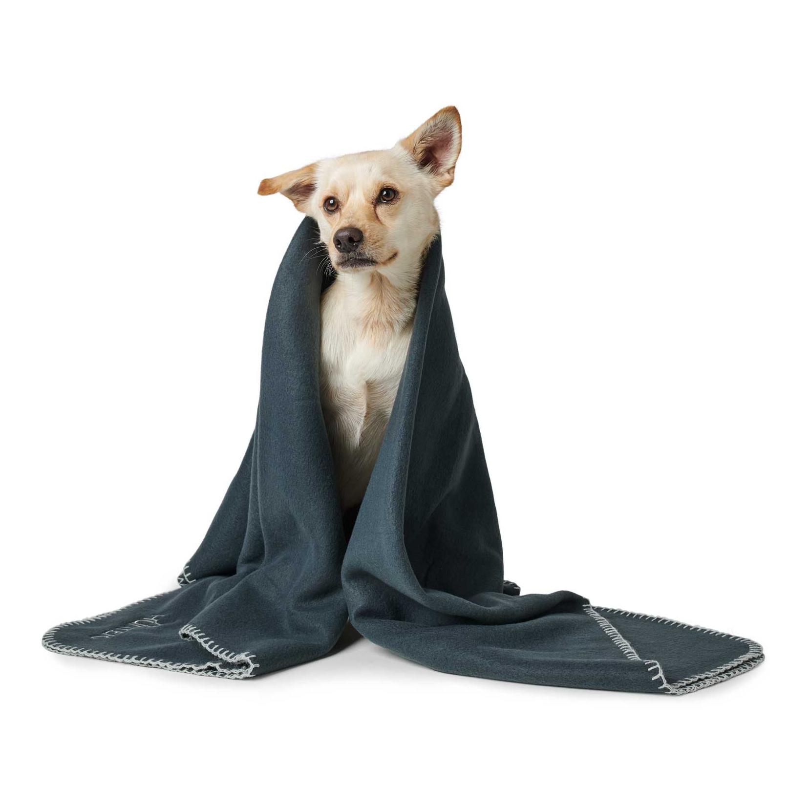 Hunter Hundedecke Casper