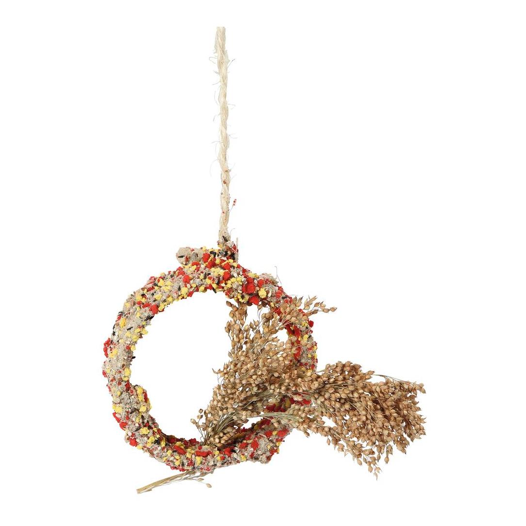 Kerbl Pet Native Snack Ring mit Rispenhirse Beige