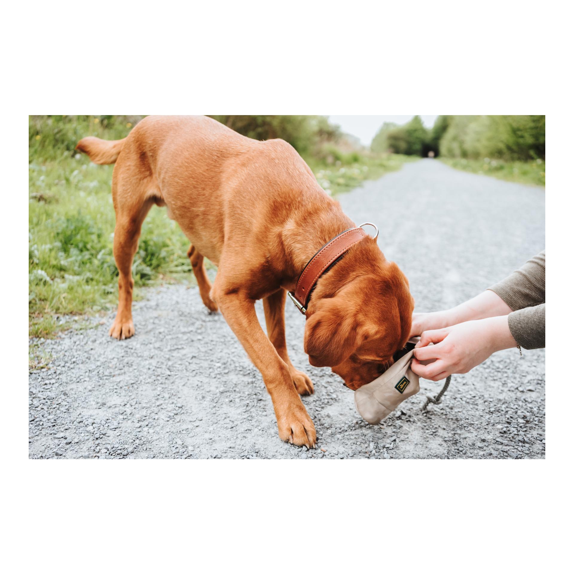 Hunter Dummy Trainer Snack avec corde