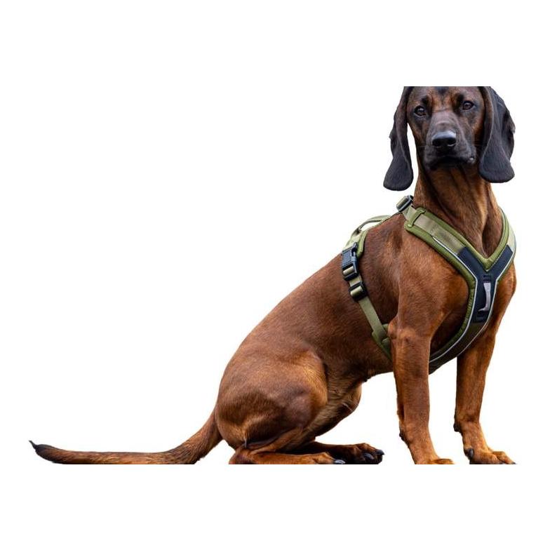Kerbl Pet Harnais pour chien Dallas