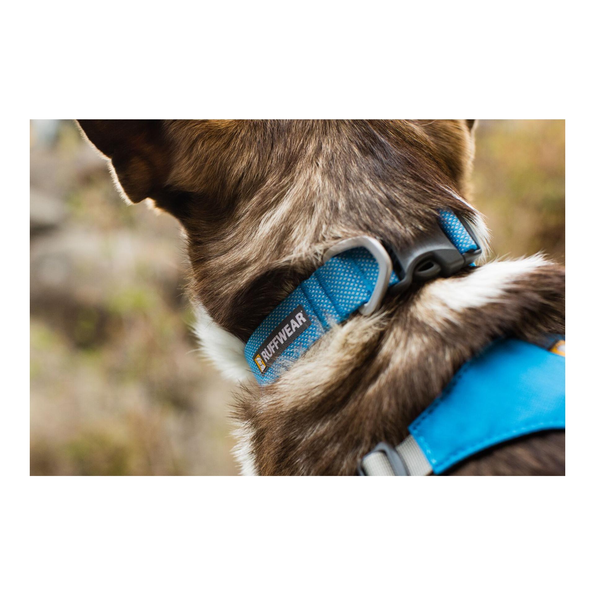 Ruffwear Collier Hi &amp; Light™