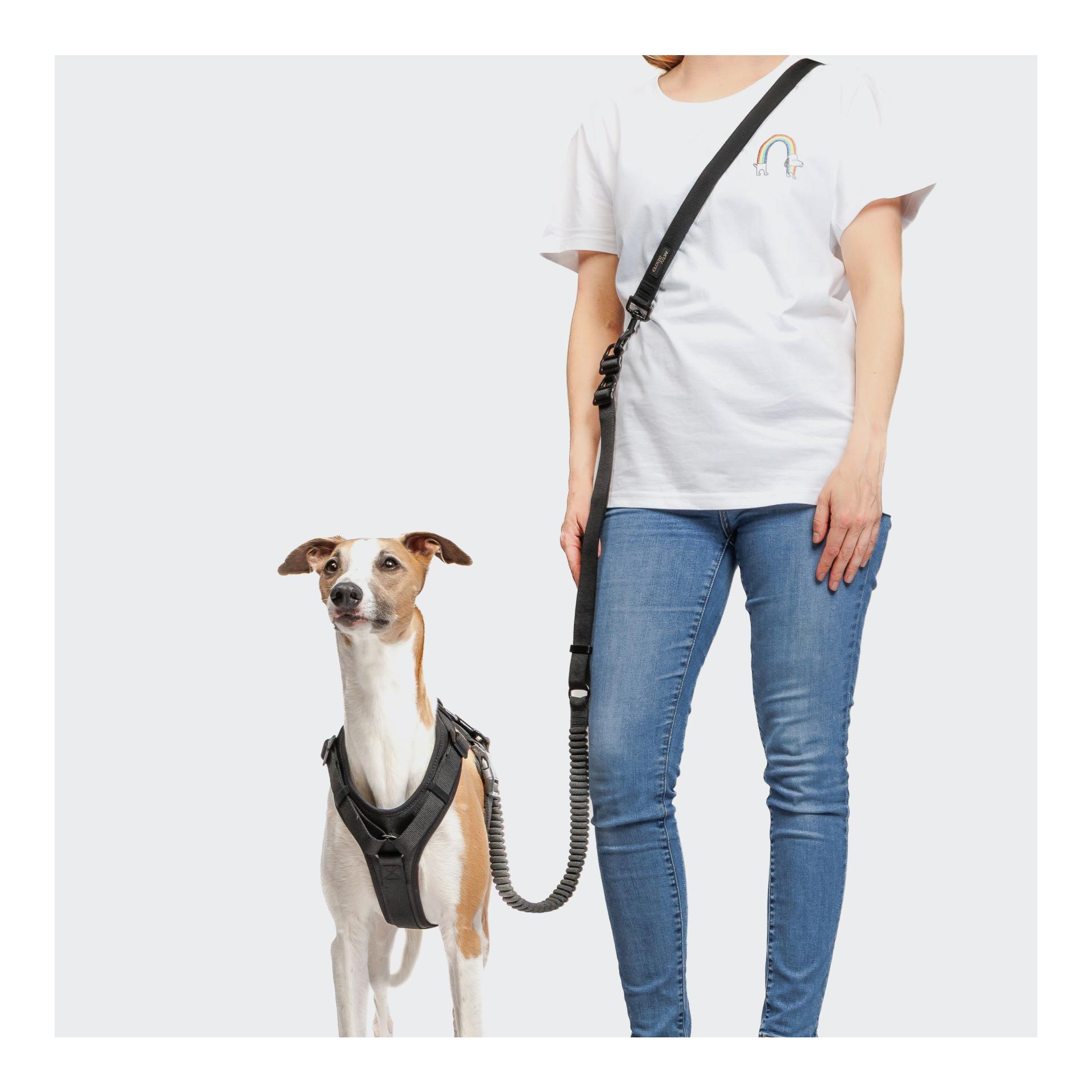 Cloud 7 Y-3-Hundegeschirr