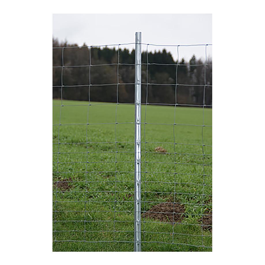 Hauptner Z-Profil-Stahlpfahl