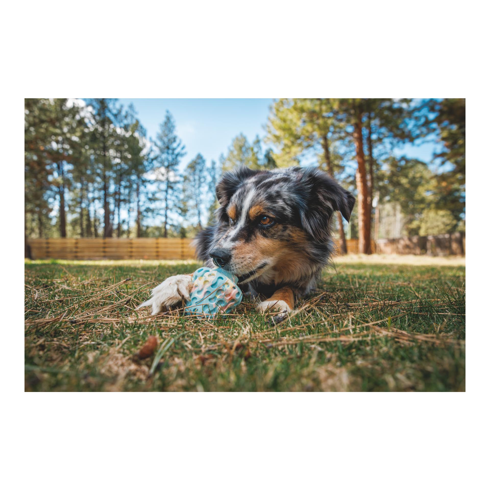 Ruffwear Jouet pour chien Morel