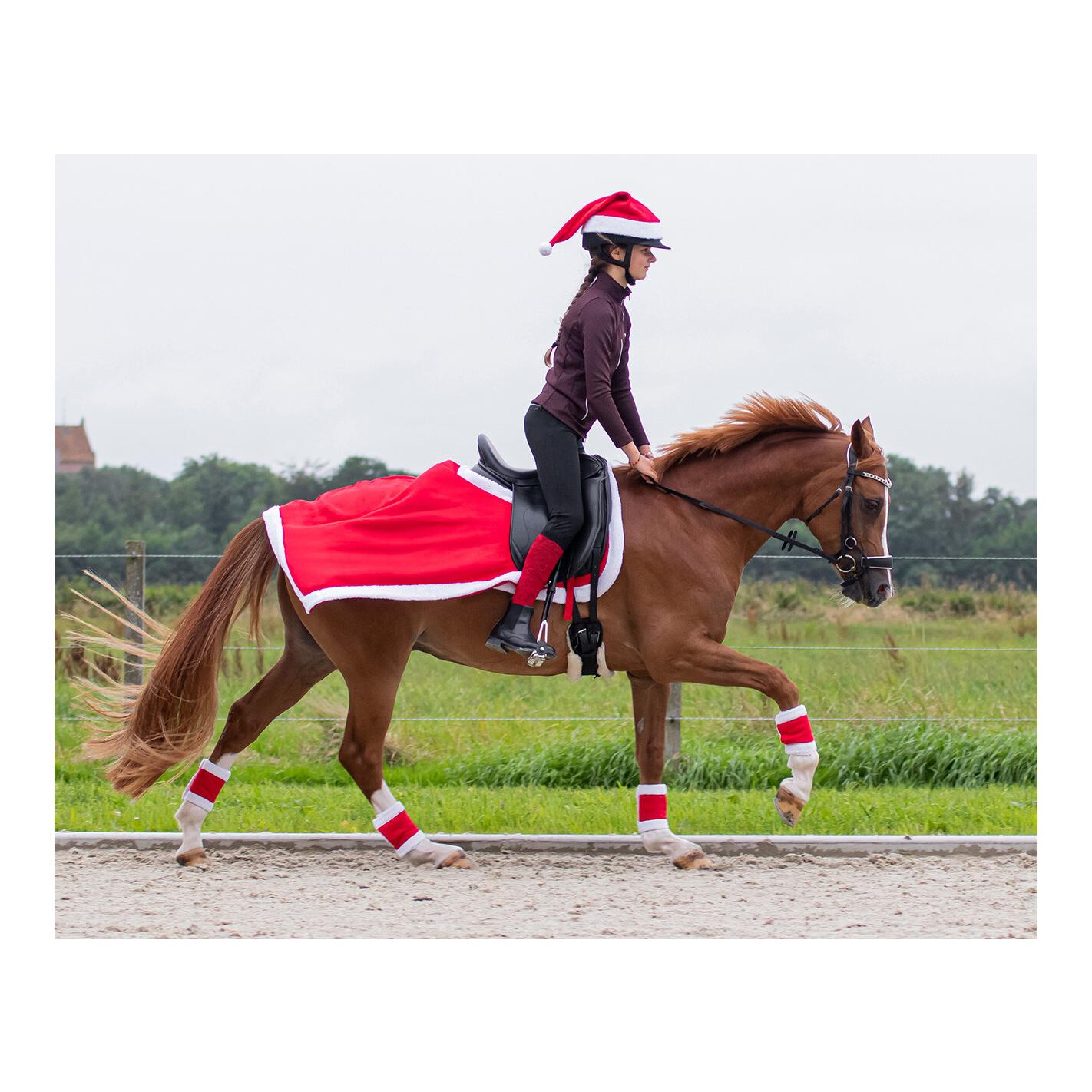 QHP Weihnachtsmütze