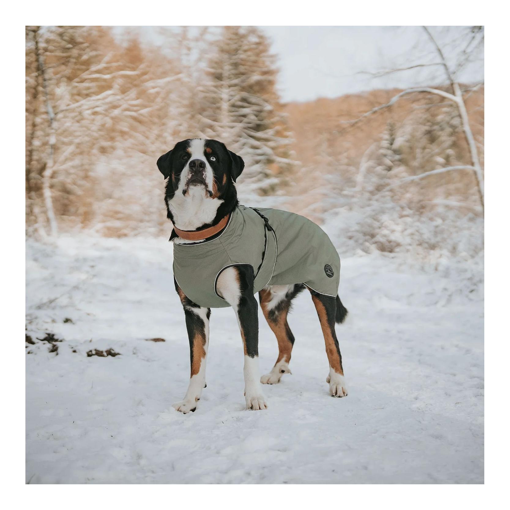 Hunter Hundemantel Uppsala mit herausnehmbarem Fleece