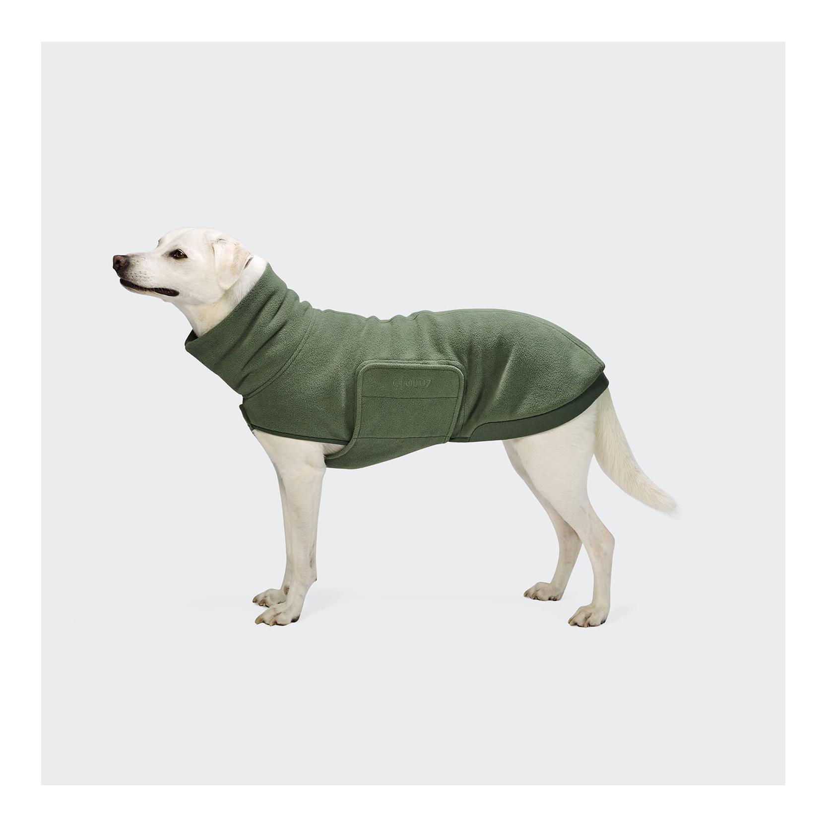 Cloud 7 Hundepullover Derby 2.0 soft Fleece