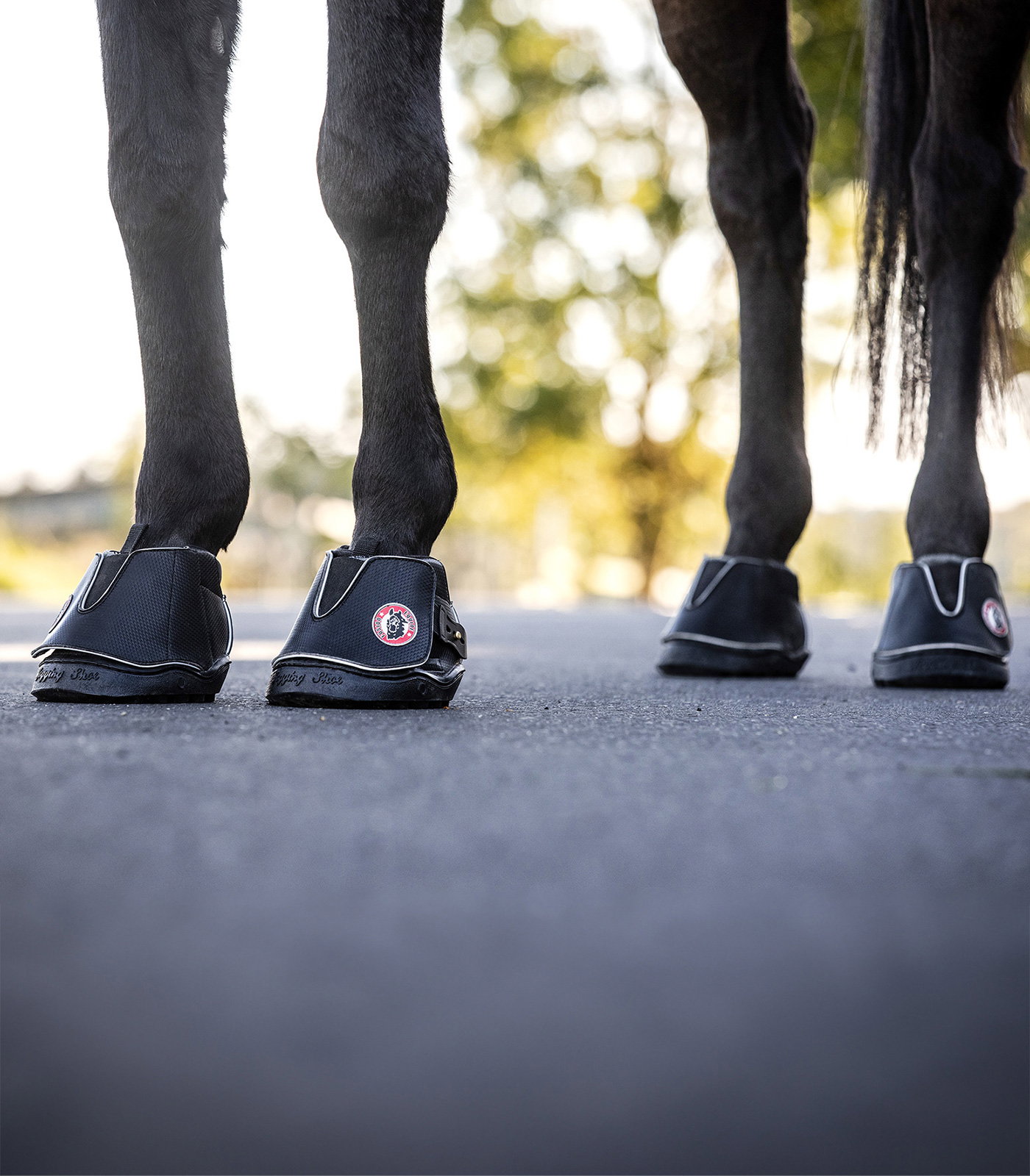 Equine Fusion Equine Fusion Active Jogging Shoe Regular