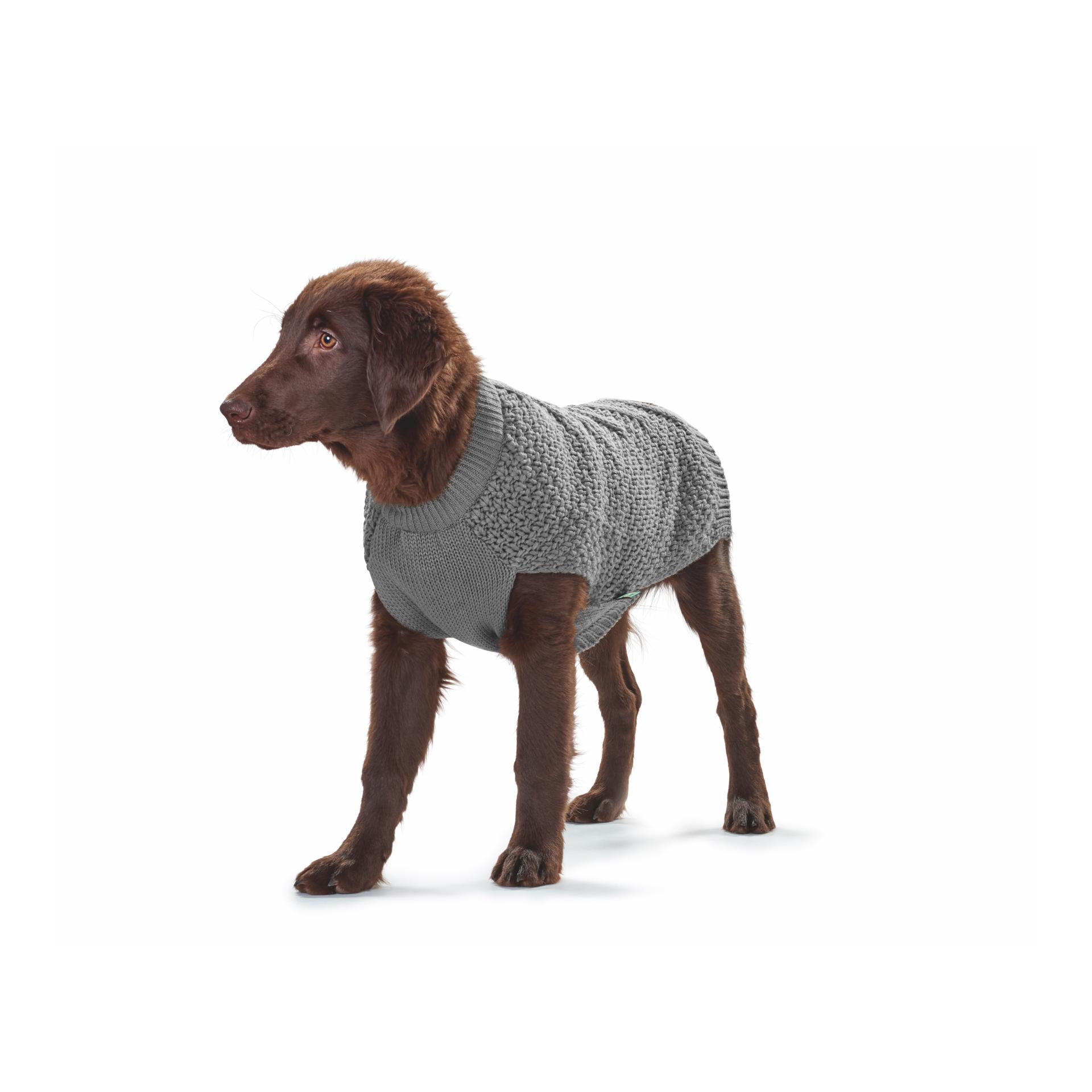 Hunter Pullover pour chien Malmö - gris