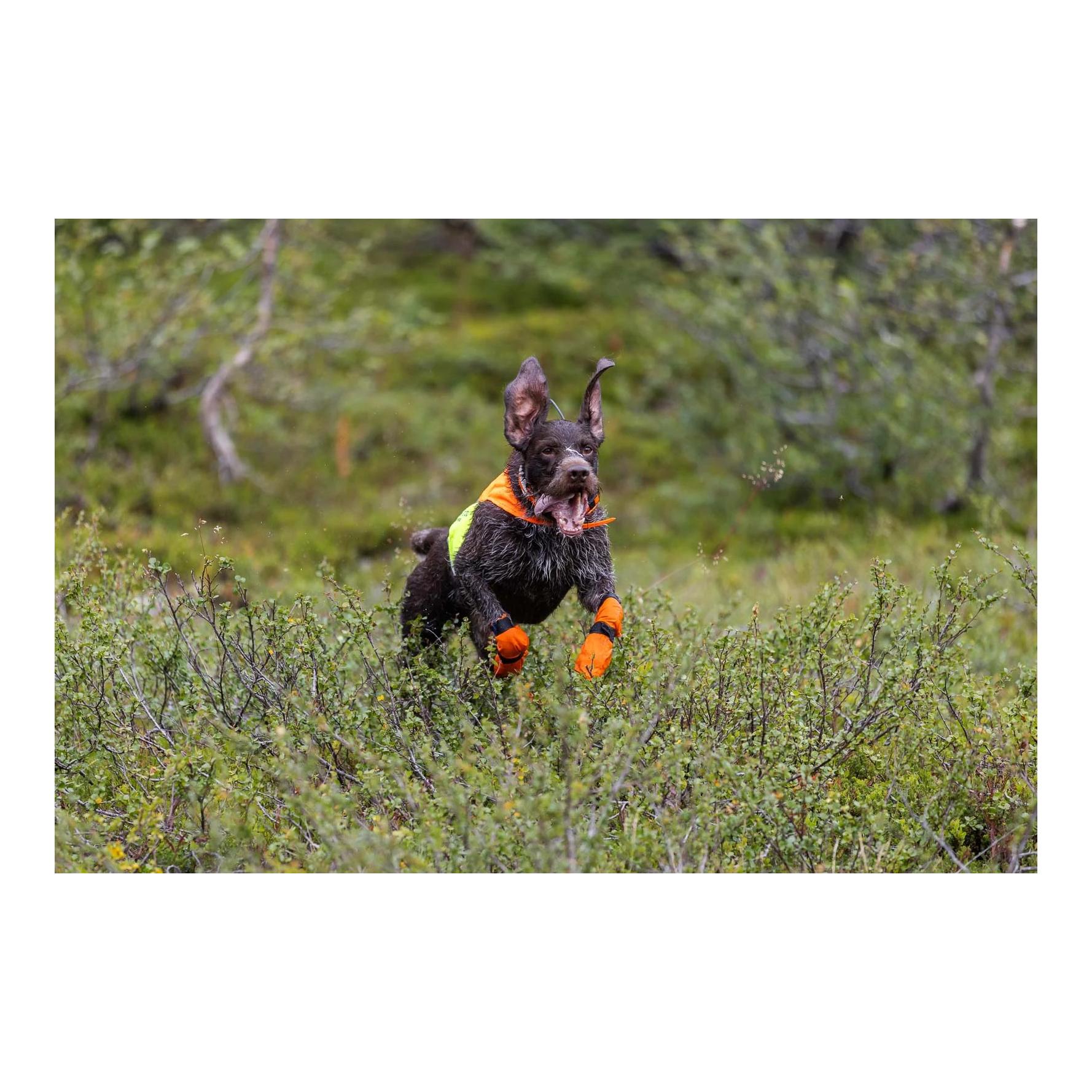 Non-stop Dogwear Housse de protection 2.0