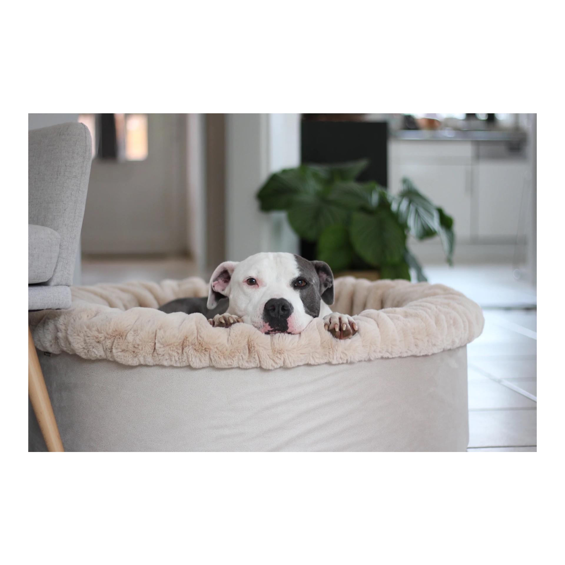 Dogspring by MAUL Hundebett Buddelnest®