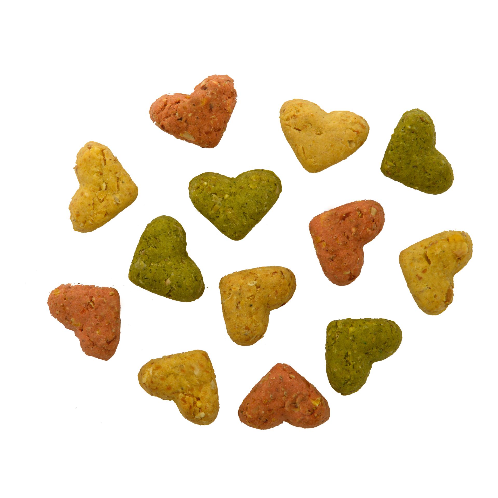 LECKY Biscuits XXS