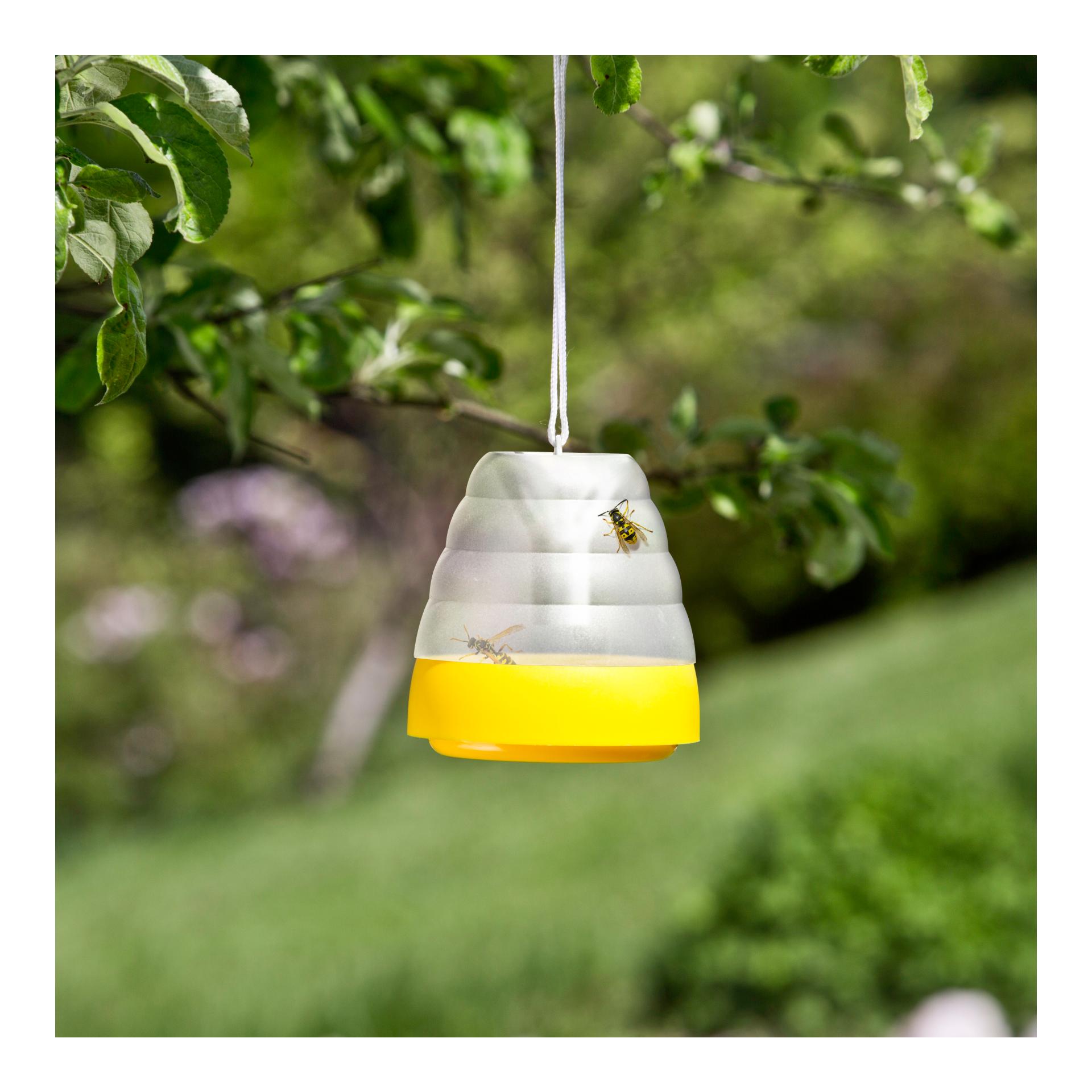 Windhager Piège décoratif à guêpes ou mouches - jaune