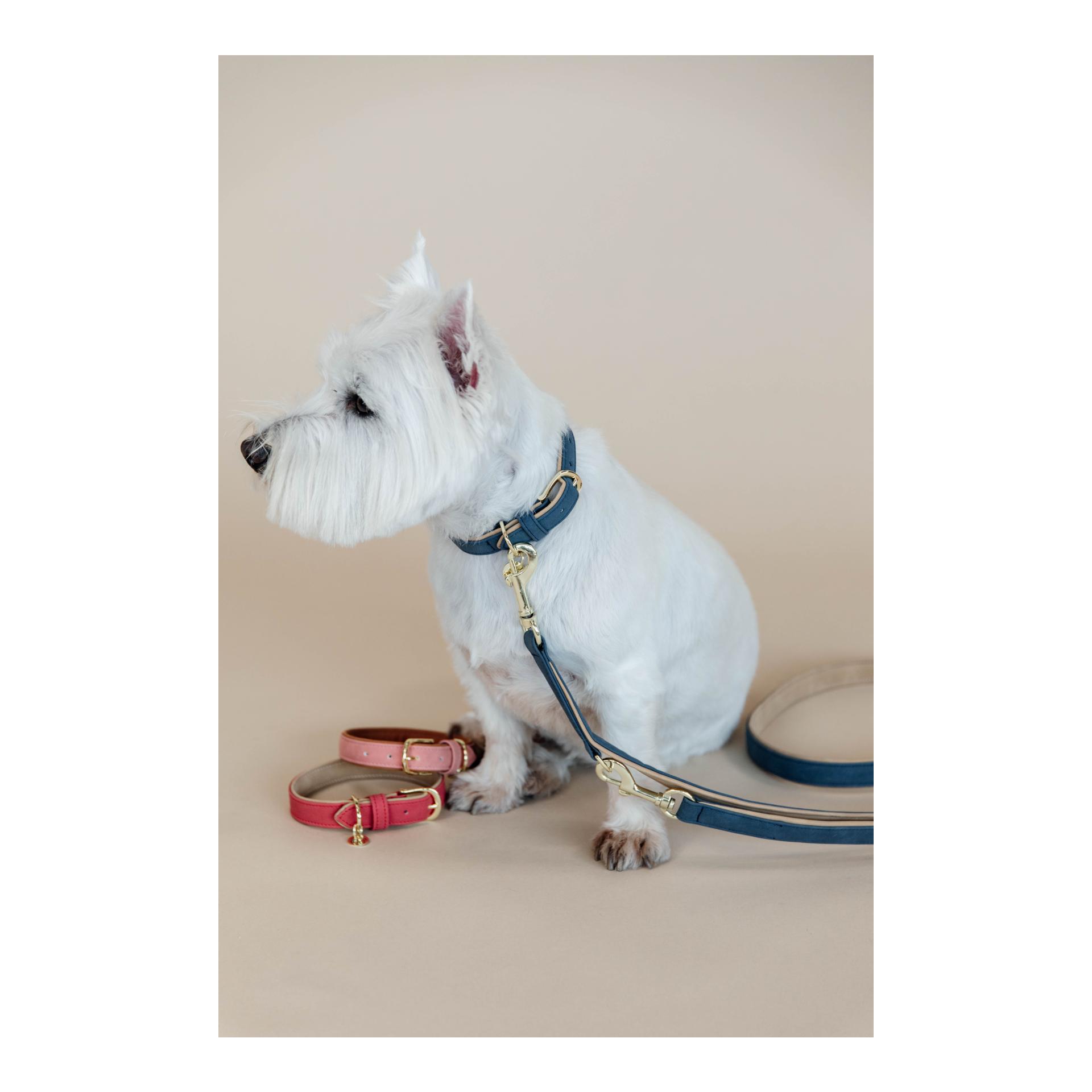 Kentucky Dogwear Hundehalsband Soft Vegan Leather