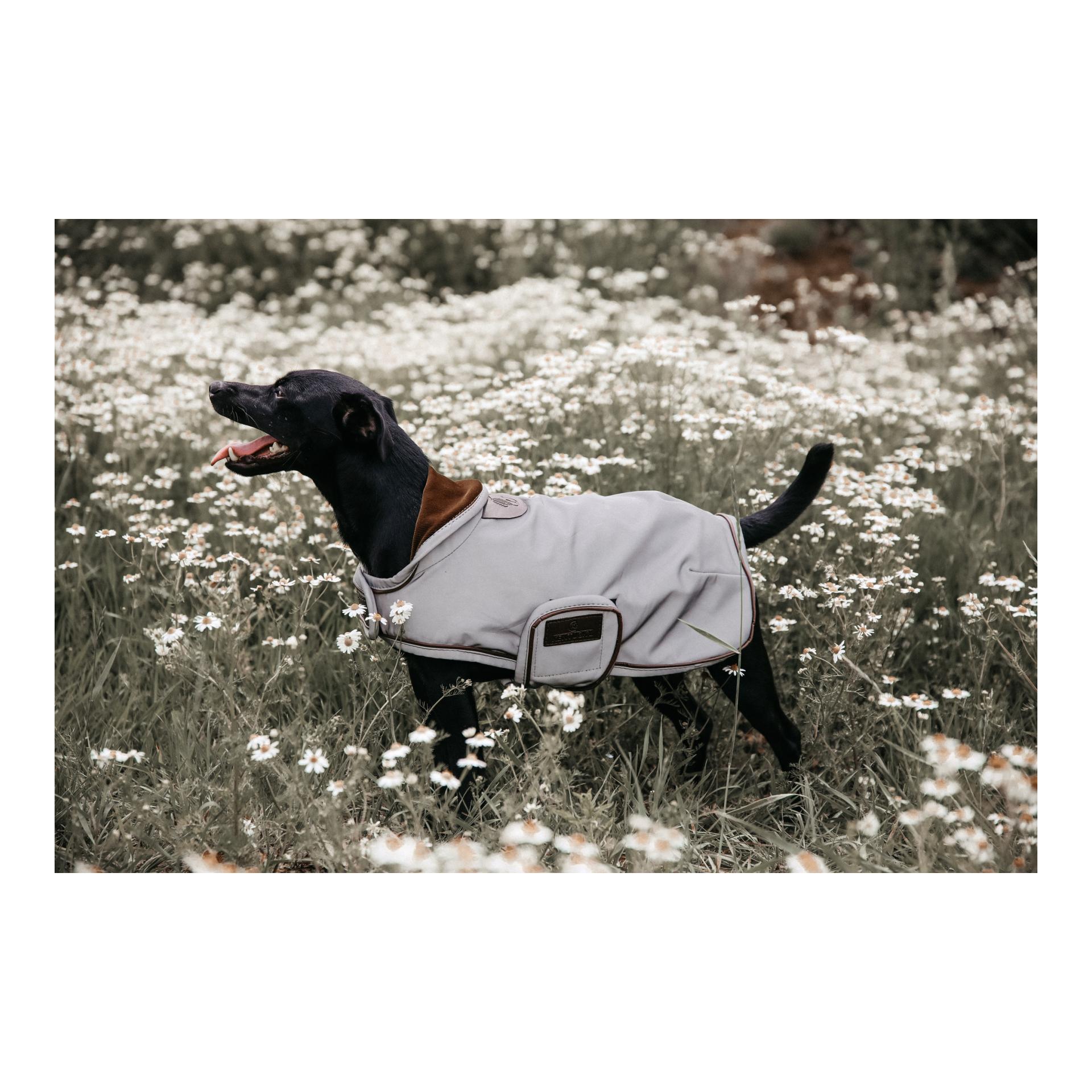 Kentucky Dogwear Manteau pour chien réfléchissant &amp; imperméable