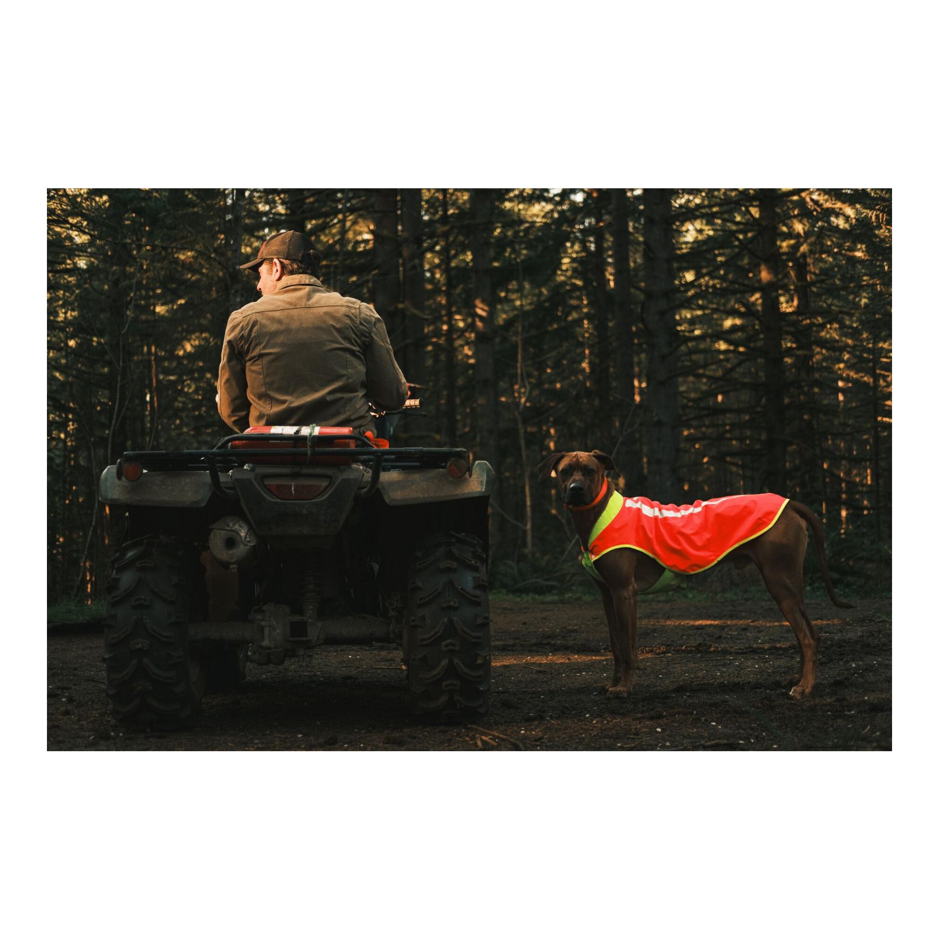 Ruffwear Lumenglow™ High-Vis Hundeweste