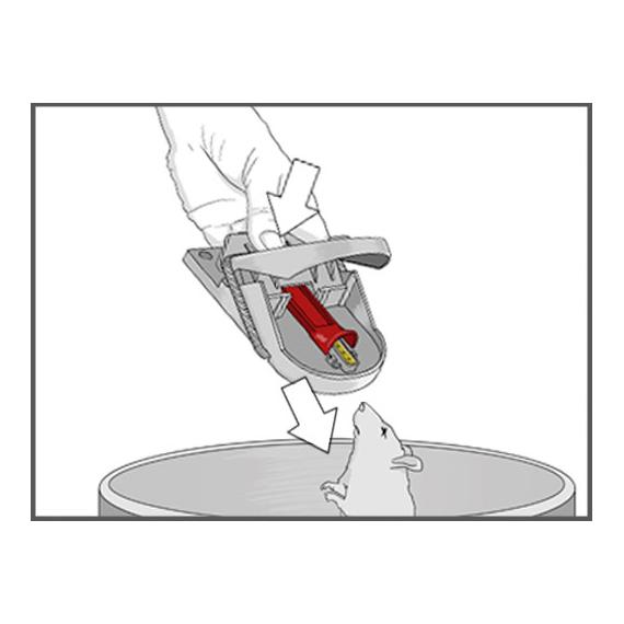 SWISSINNO Piège à souris PRO Supercat, appât inclus