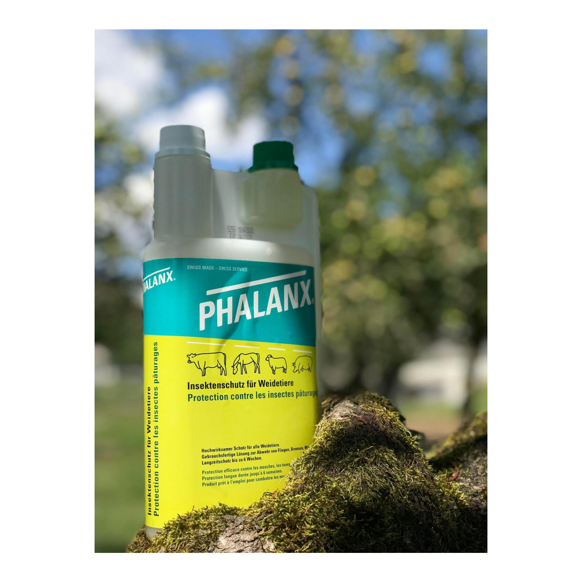 Phalanx Insektenschutz für Weidetiere