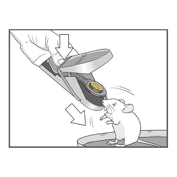 SWISSINNO Piège à souris Supercat - 2 pièces, appât inclus