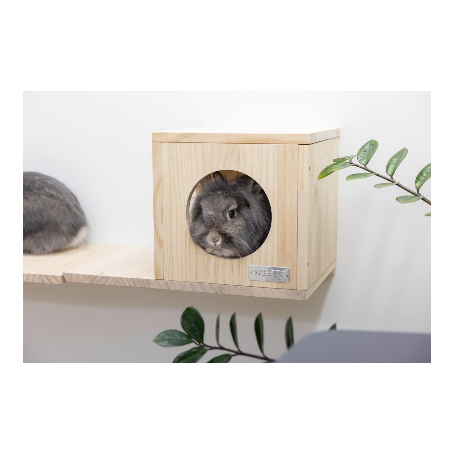 Kerbl Pet Parcours mural Skywalk pour petits animaux, 6 pièces