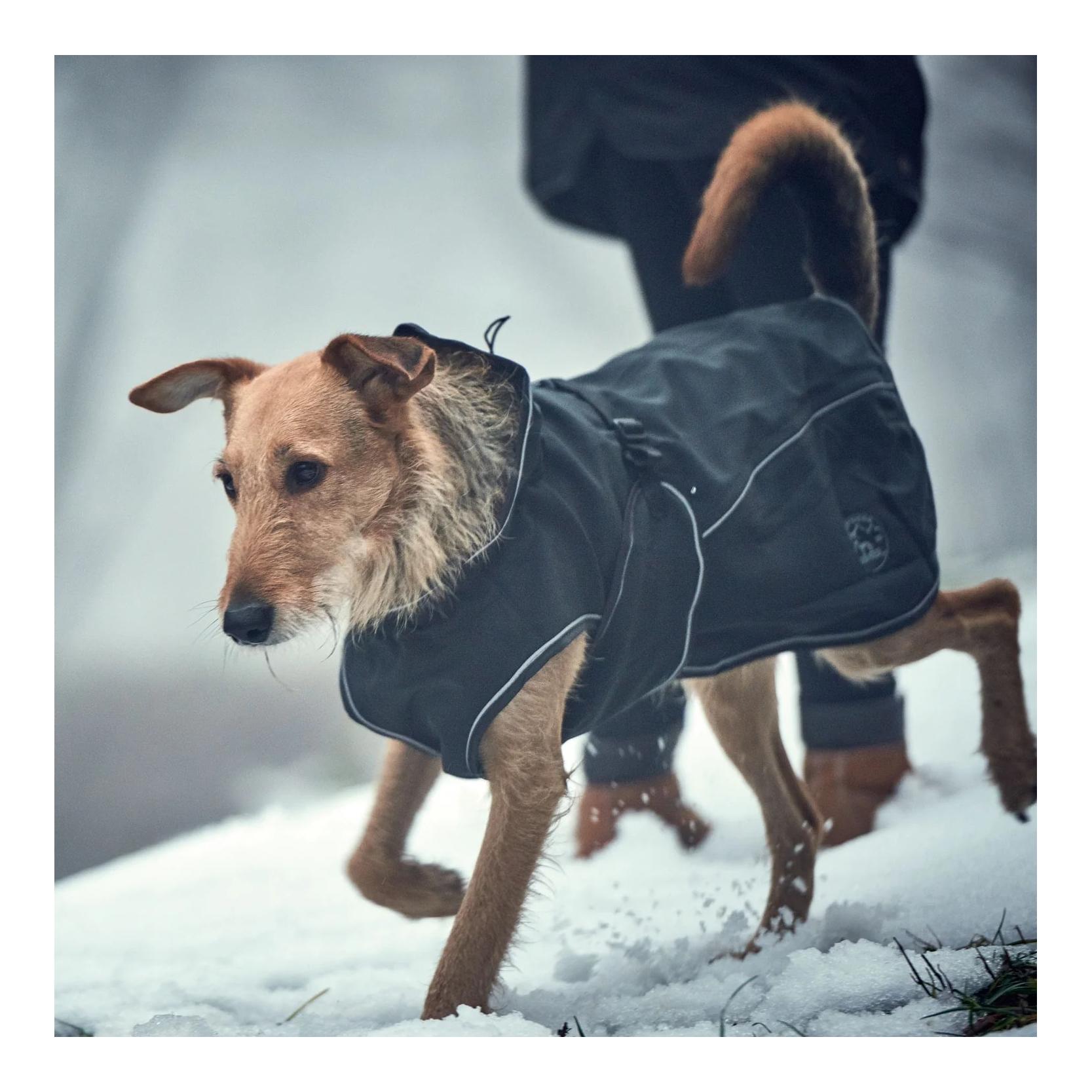 Hunter Hundemantel Uppsala Softshell - schwarz